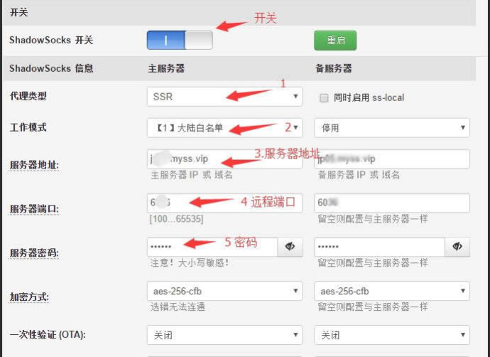 裴讯K2老毛子Padavan固件配置酸酸乳简单教程
